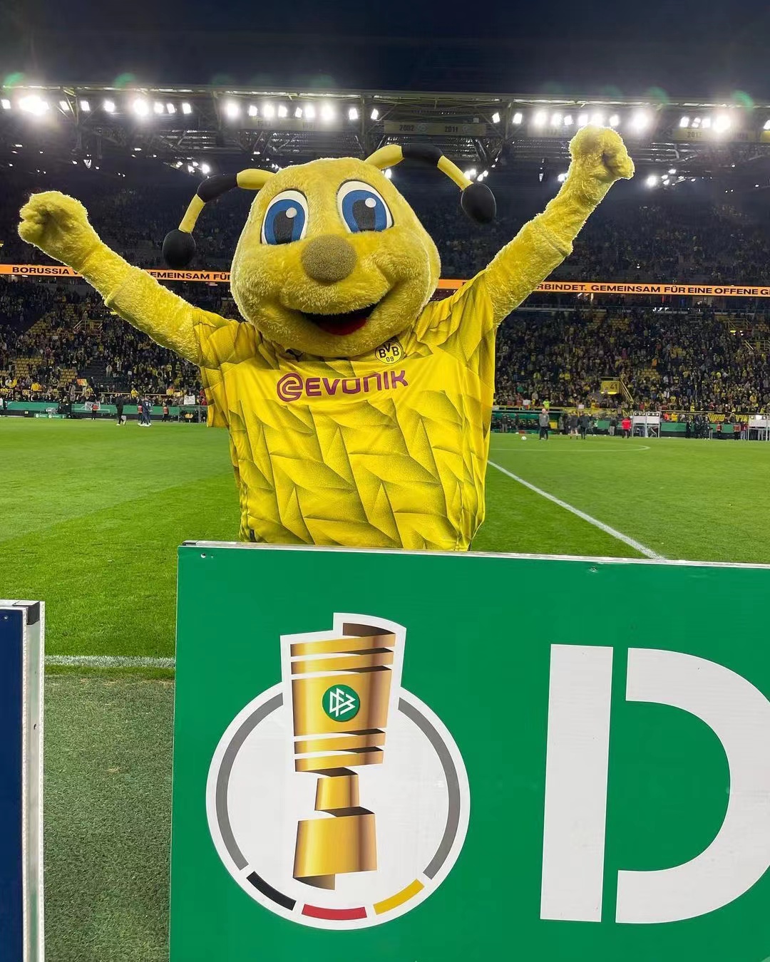 新疆广汇窗口期迎来里程碑；志在德国杯名次提升；更衣室稳定；控场能力受关注(新疆广汇logo)