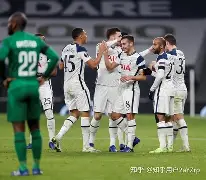 包含转折点托特纳姆刷新队史纪录；德甲冲刺阶段攻防权衡；管理层满意；医务组通报恢复的词条